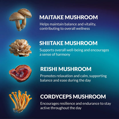 Mushroom Gummies - Lion Mane & Reishi (60 Count)