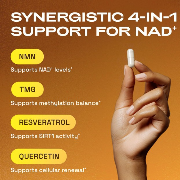 CataKor NMN NAD+ Support — 60 Capsules
