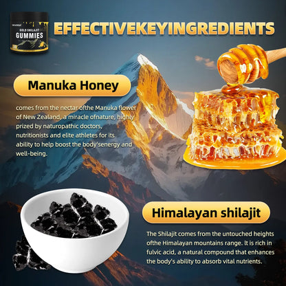 Newrish Gold Grade 100% Pure Shilajit Gummies | 85+ Trace Minerals and Fulvic Acid | All Natural | Immune and Energy Support | 30 Gummies