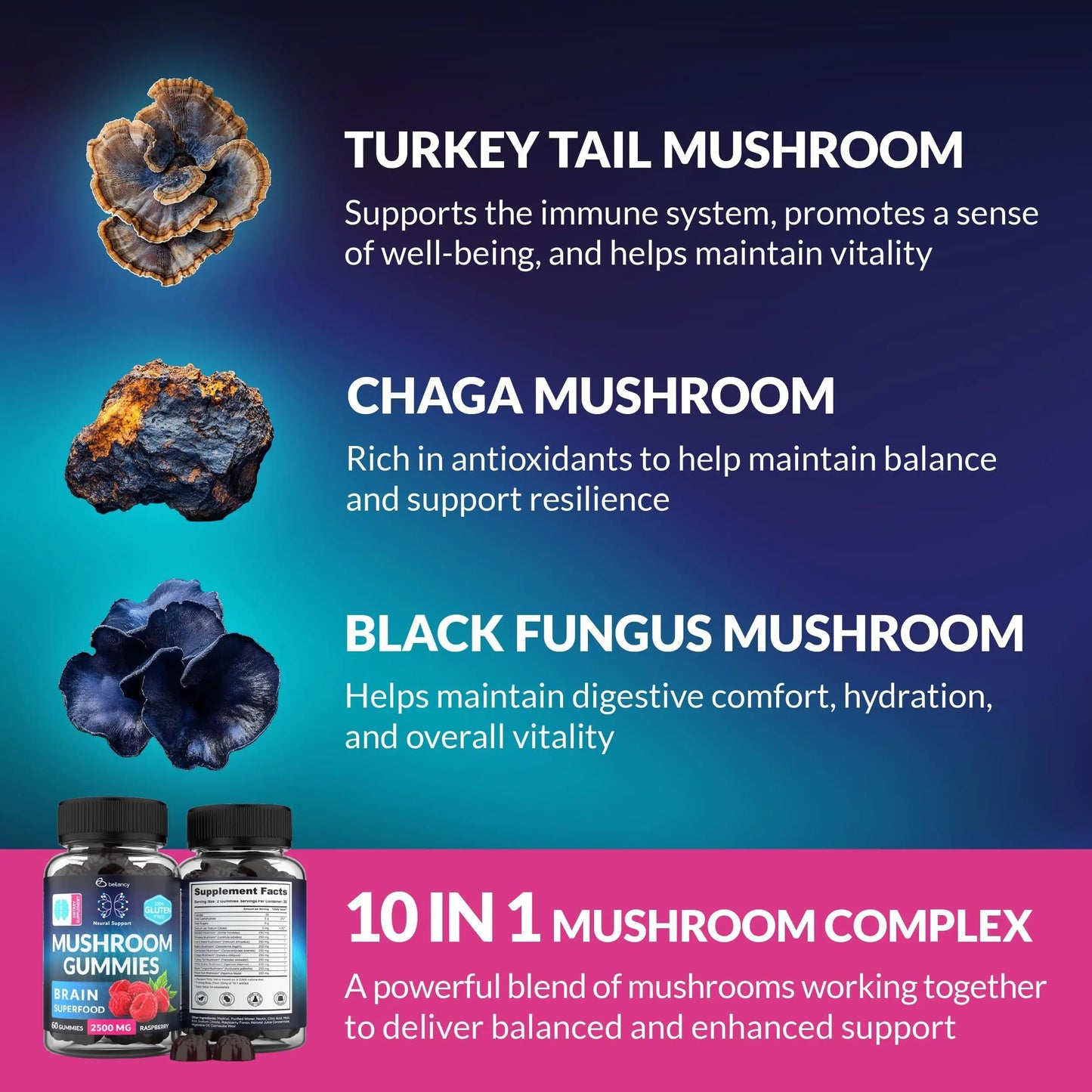 Mushroom Gummies - Lion Mane & Reishi (60 Count)